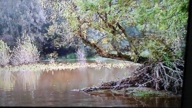 Photo de bord du lac 1