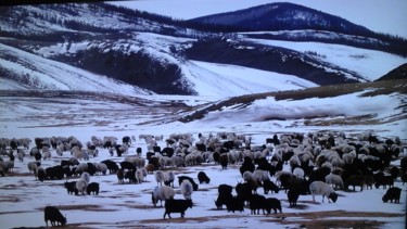 Photo de paysage dans la neige