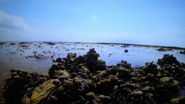 Photo de bord de mer 4