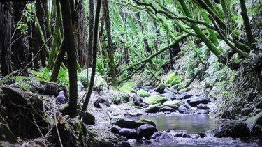 Photo de très beau paysage