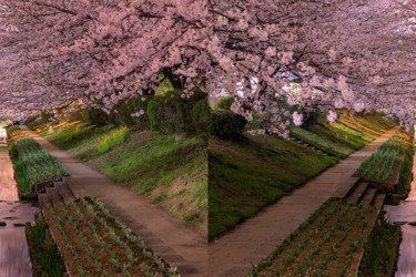 Photo de chemin fleuri à ma façon