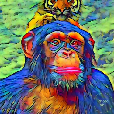 Un singe du futur