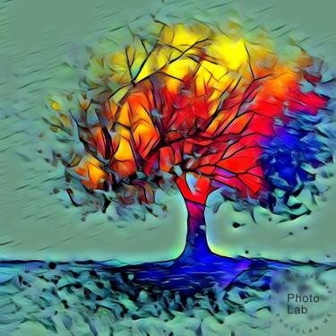 Un arbre en couleurs